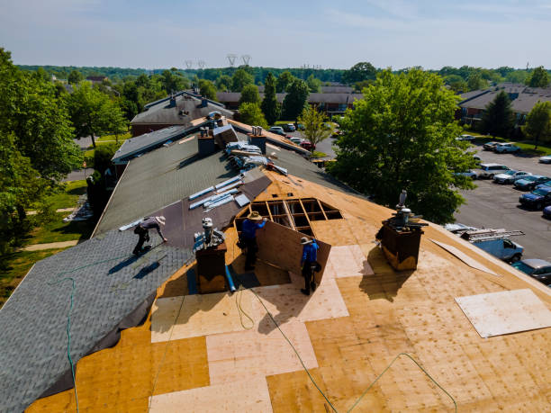 Trusted Flat Roof Repair service in Mount Rainier, MD - Brentwood Metal Roofing